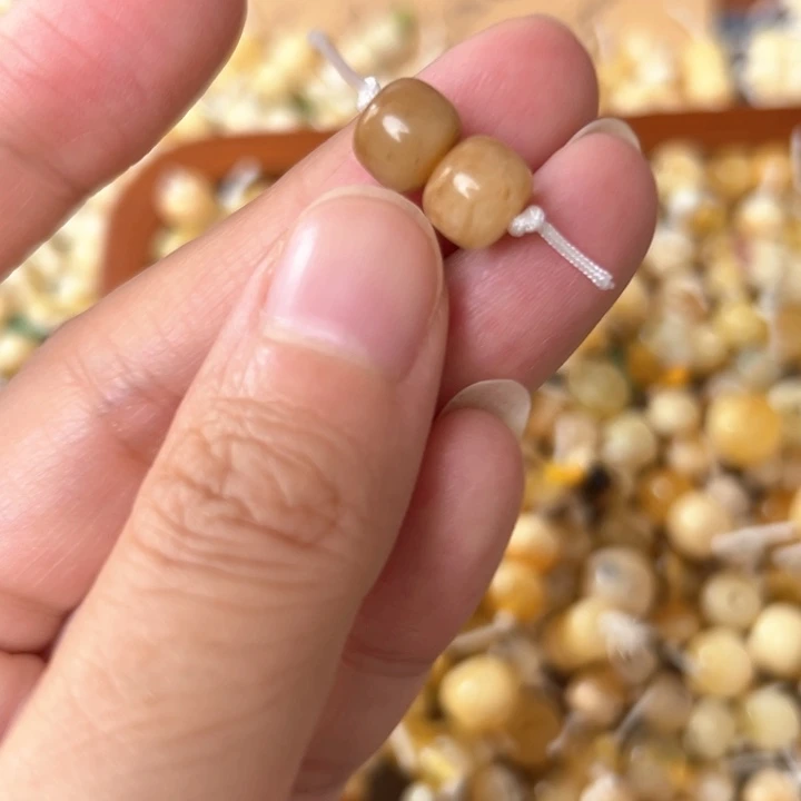 蜜蜡未镶嵌裸石8mm一对