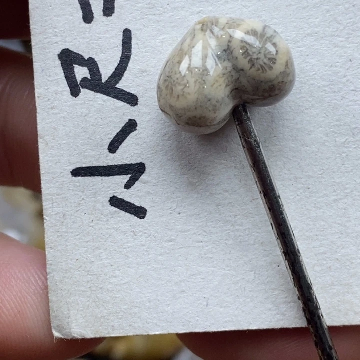 硅化珊瑚（珊瑚玉）未镶嵌颈饰