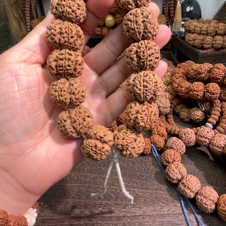 苍***龙手串金刚菩提梅花