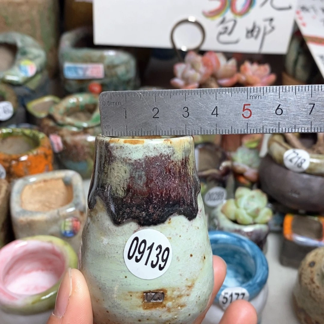 花盆拍5送一个小礼物