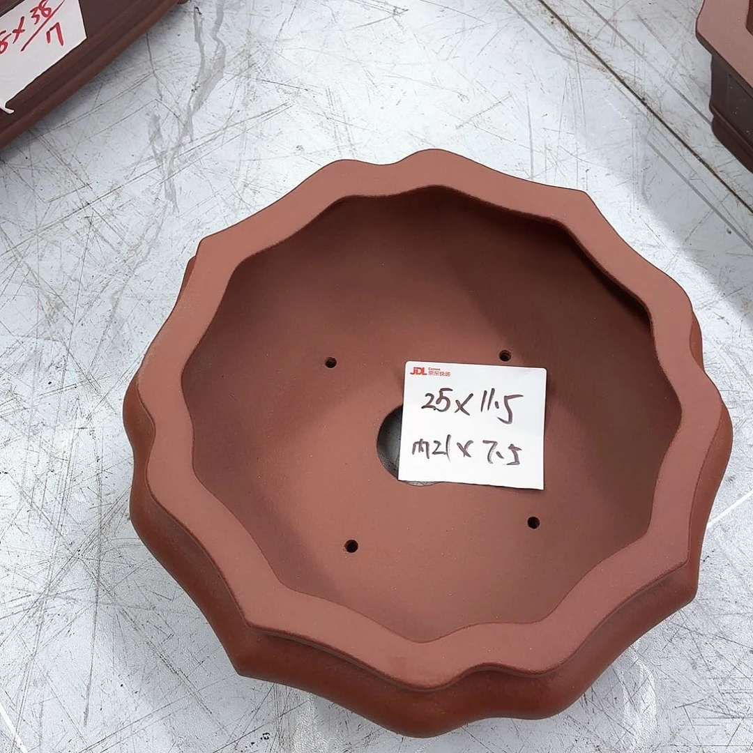 紫砂花盆紫砂的花开了吗