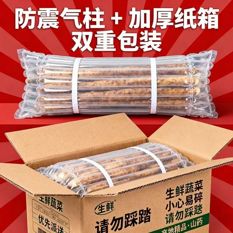 铁棍山药山药现挖滋补特产新鲜当季非河南焦作温县垆新鲜铁棍山药