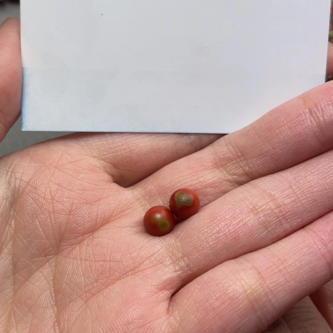 南红玛瑙手链未镶嵌默**爱