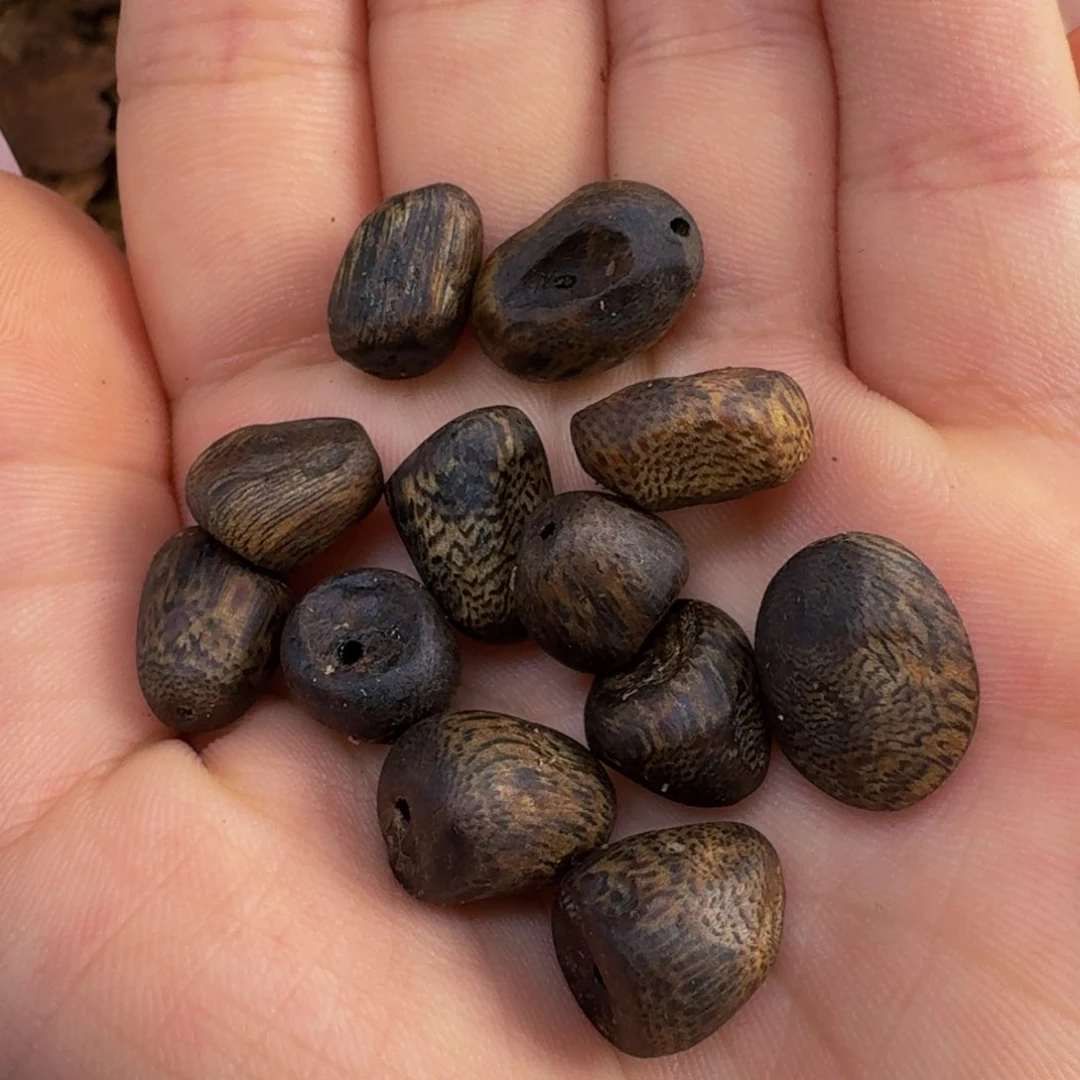 沉香吊坠?****-天然野数丁