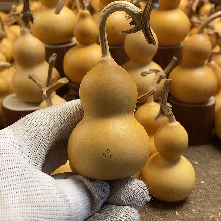 文玩葫芦 完美主义者 慎拍39