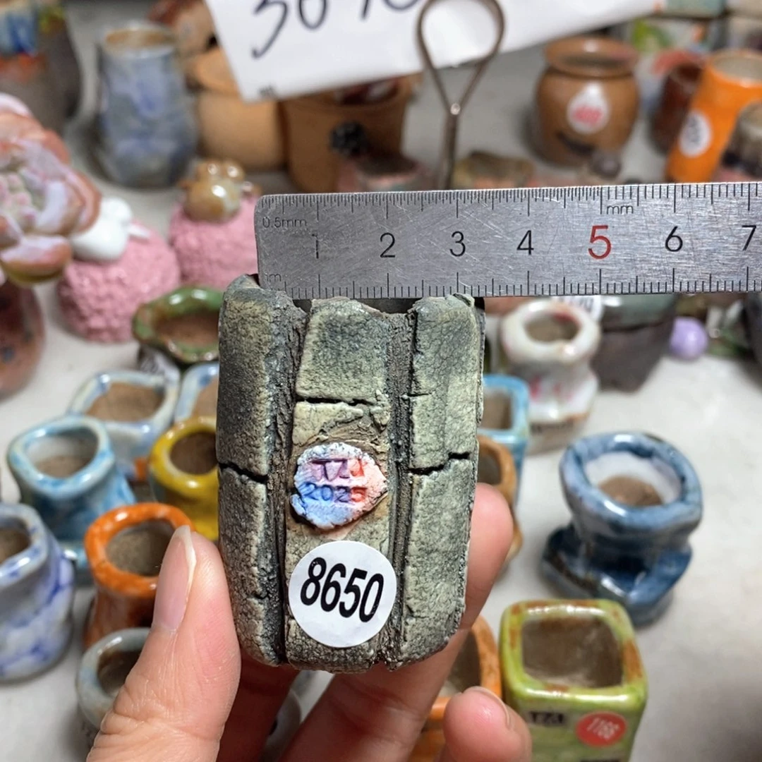 拍3送一个小礼物