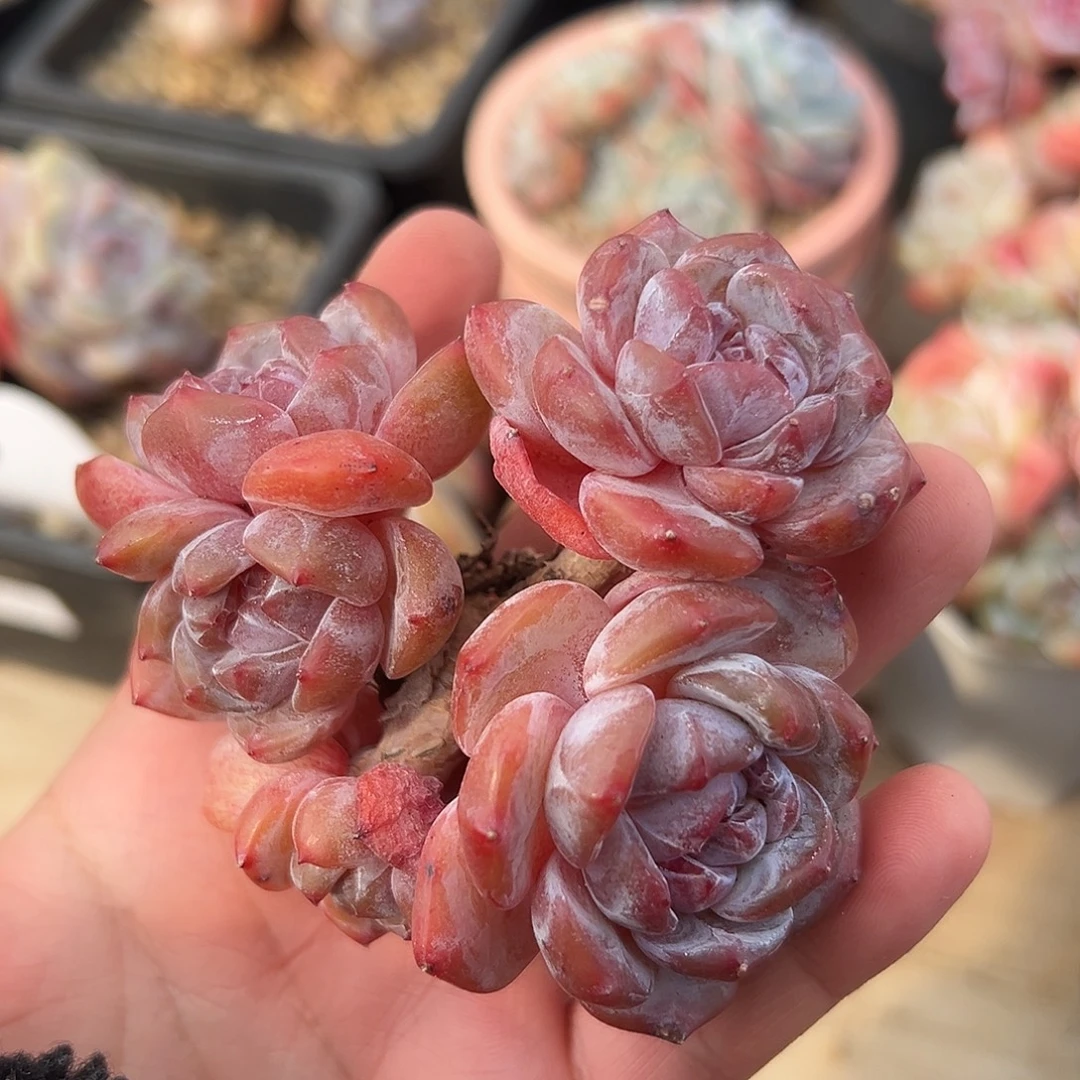 哈哈哈哈哈哈哈哈哈