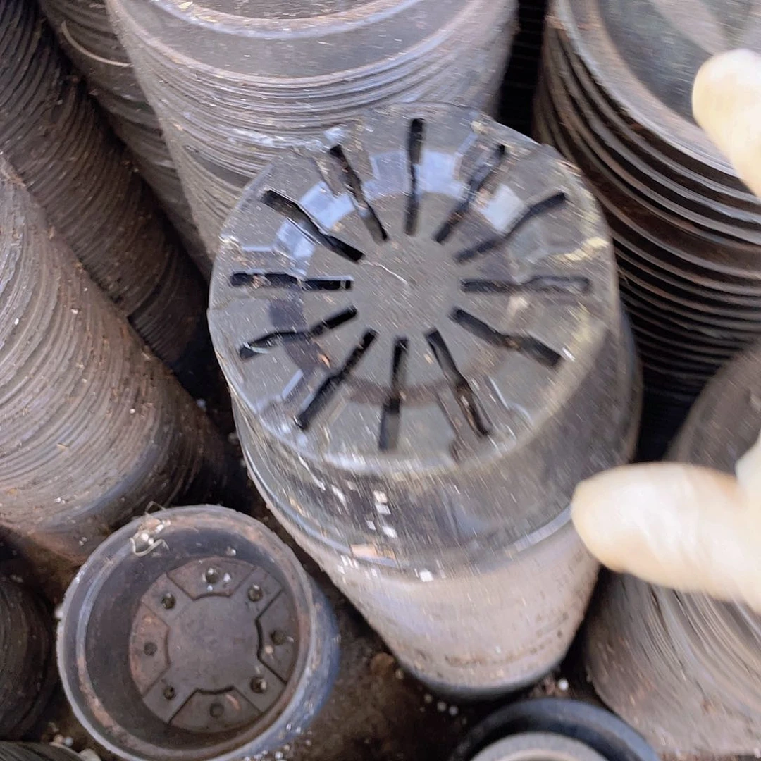 旧口径15高9 黑元盆30个