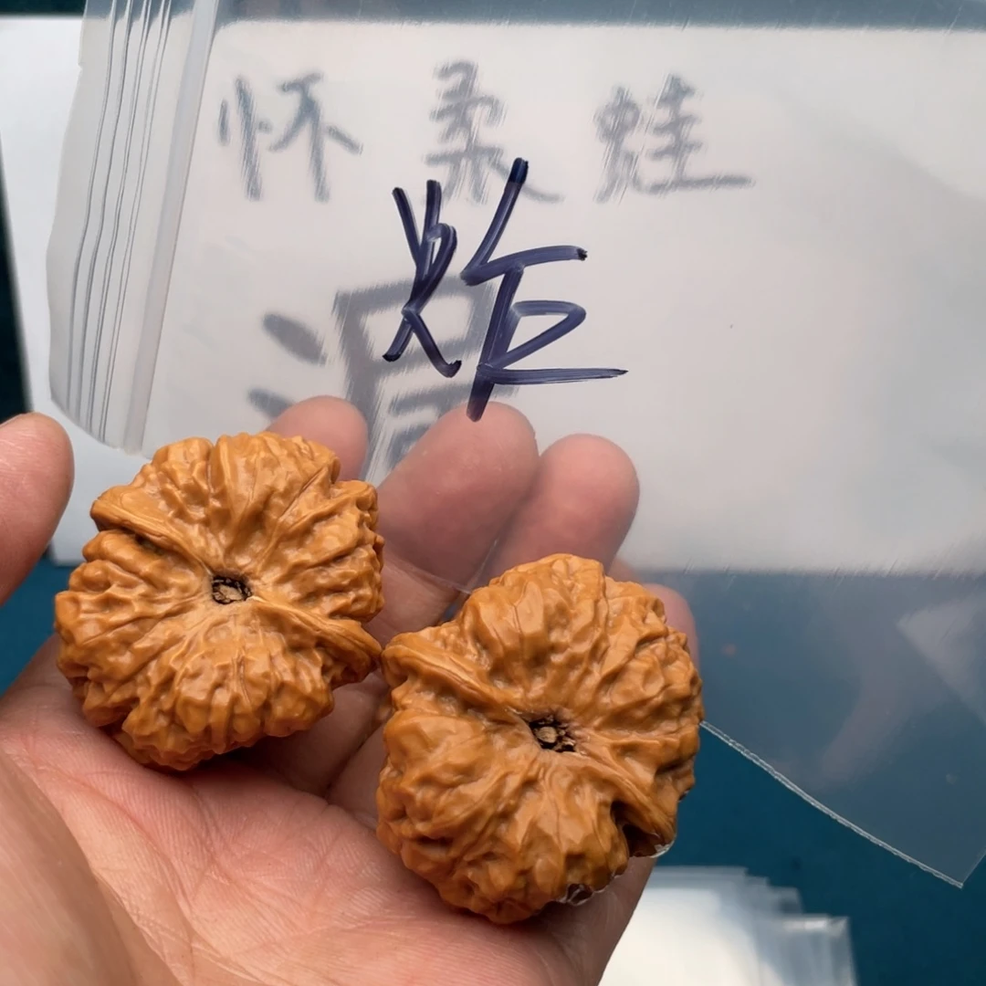 橄榄核手串/手链W496468836368368