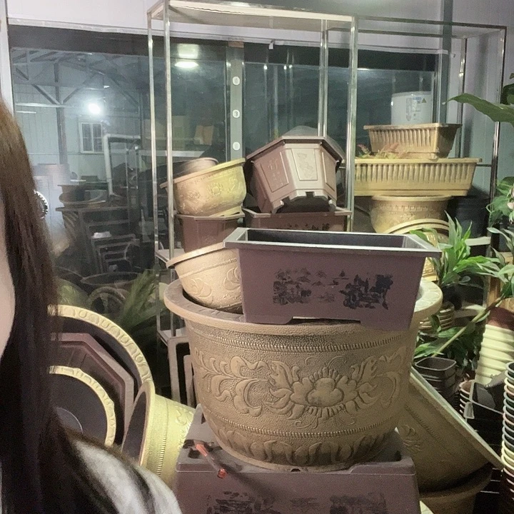 50盆景盆1个38元包邮