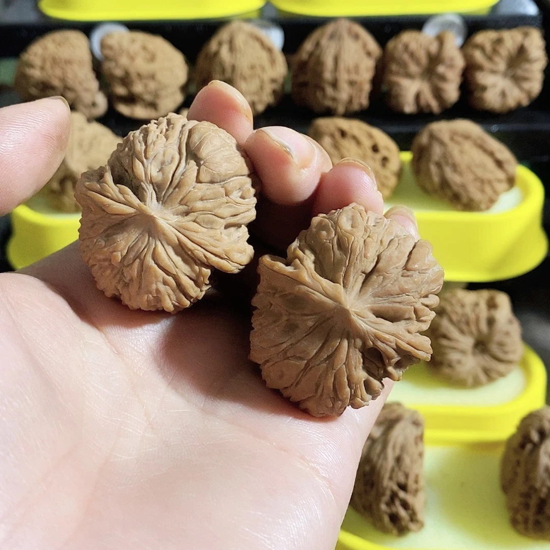 天***法木质类今天的我是个