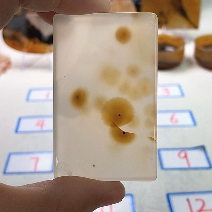 玛瑙/玉髓未镶嵌珠宝半成品