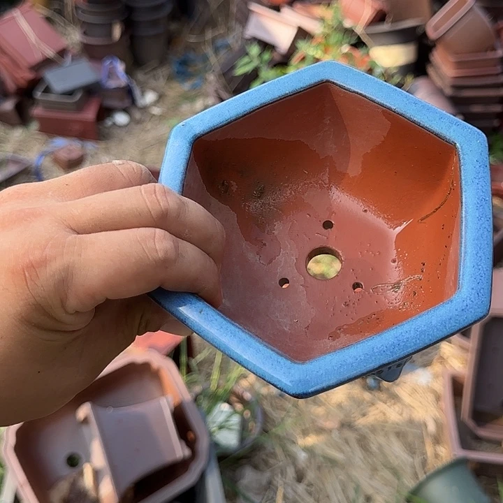 是因为它具有非常丰富且独特功能