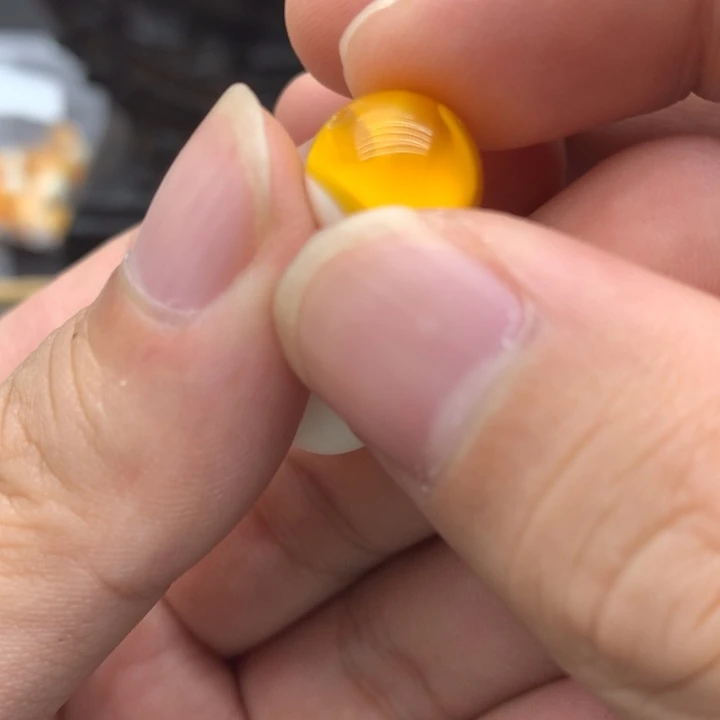 手链琥珀未镶嵌w50