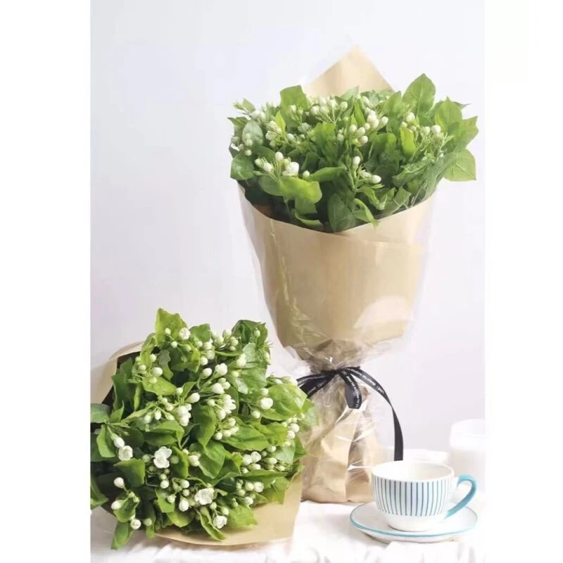 白色茉莉 昆明鲜花直发家庭水养插花 任意2单顺丰