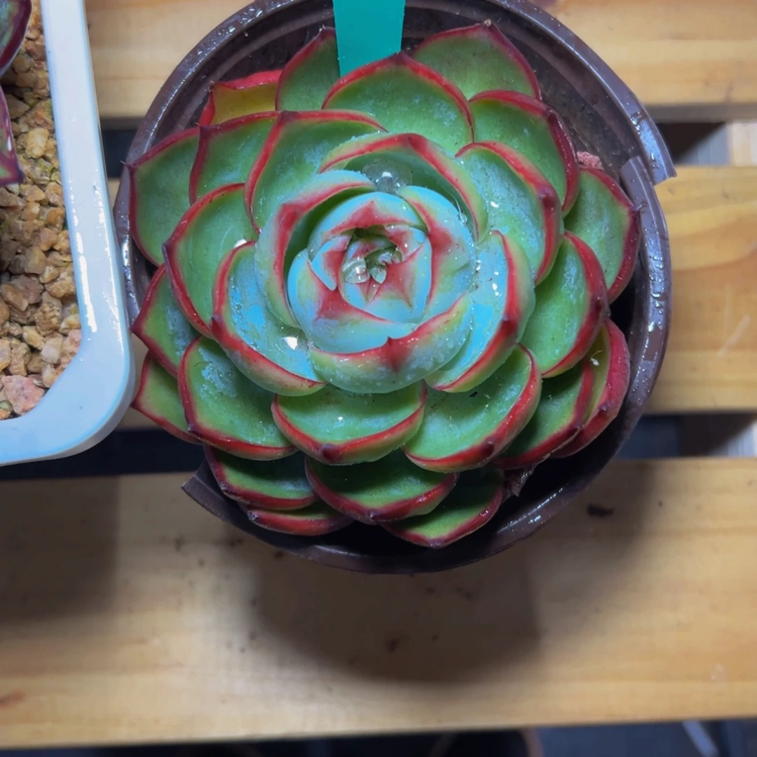 C***O109啊我的小可爱们