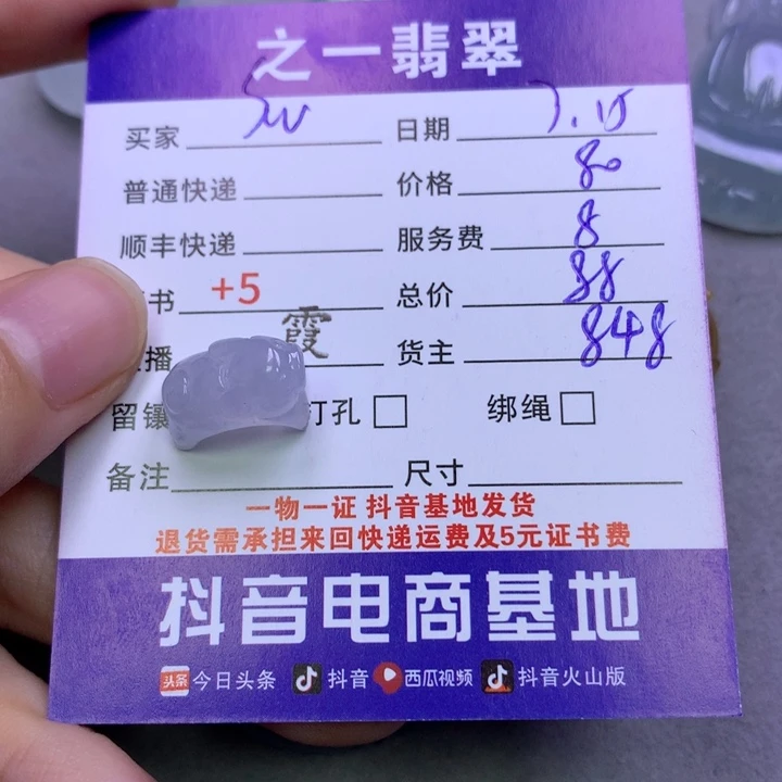 翡翠未镶嵌颈饰S****宝