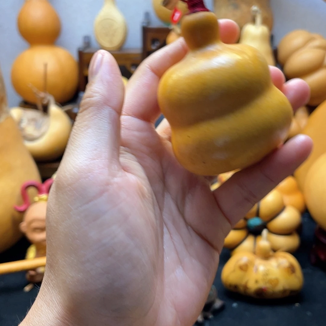 嗨****？大自然的秘密第十一章第