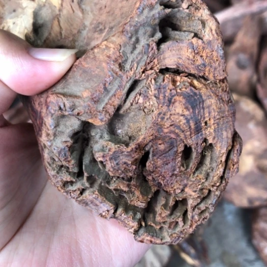 其他黄花梨/降香黄檀