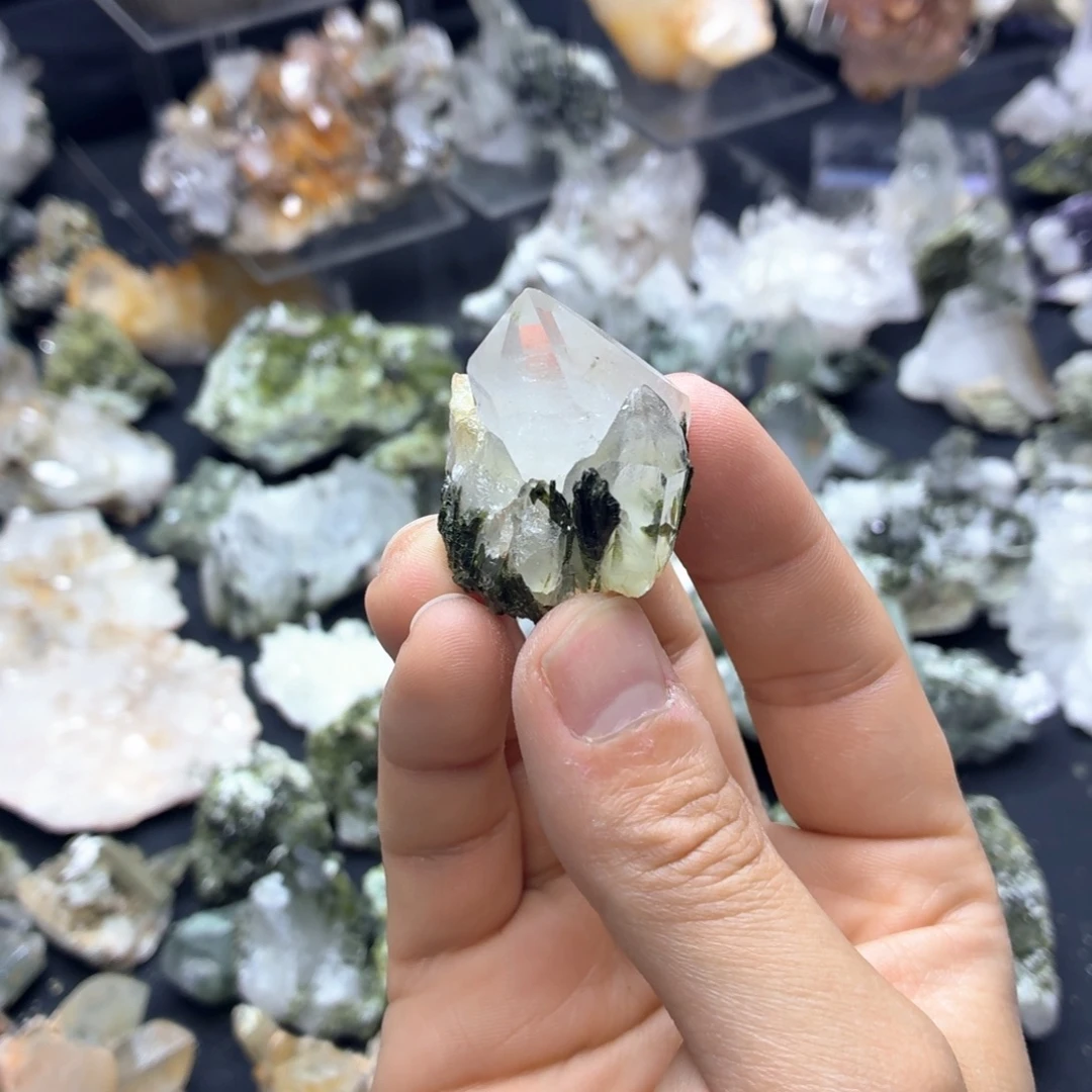 石材无人在意的绿帘