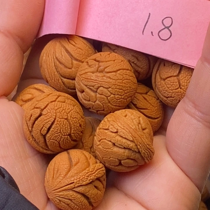 秦岭龙纹桃核14颗