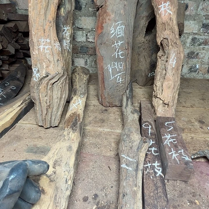 红酸枝木类濤**旧花枝缅花