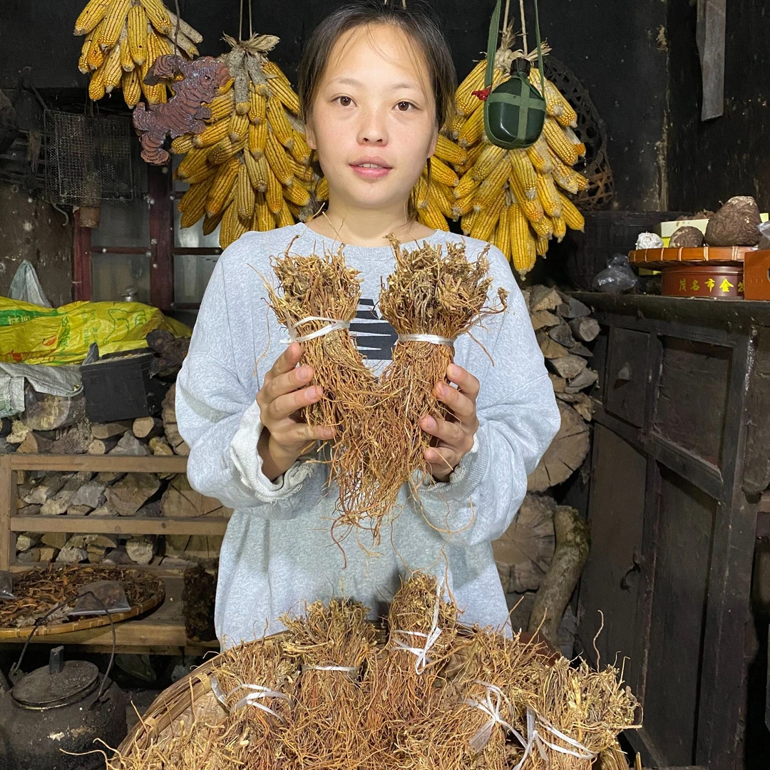麻栗坡边境云岭山龙胆草（龙胆草根）可搭配枸杞