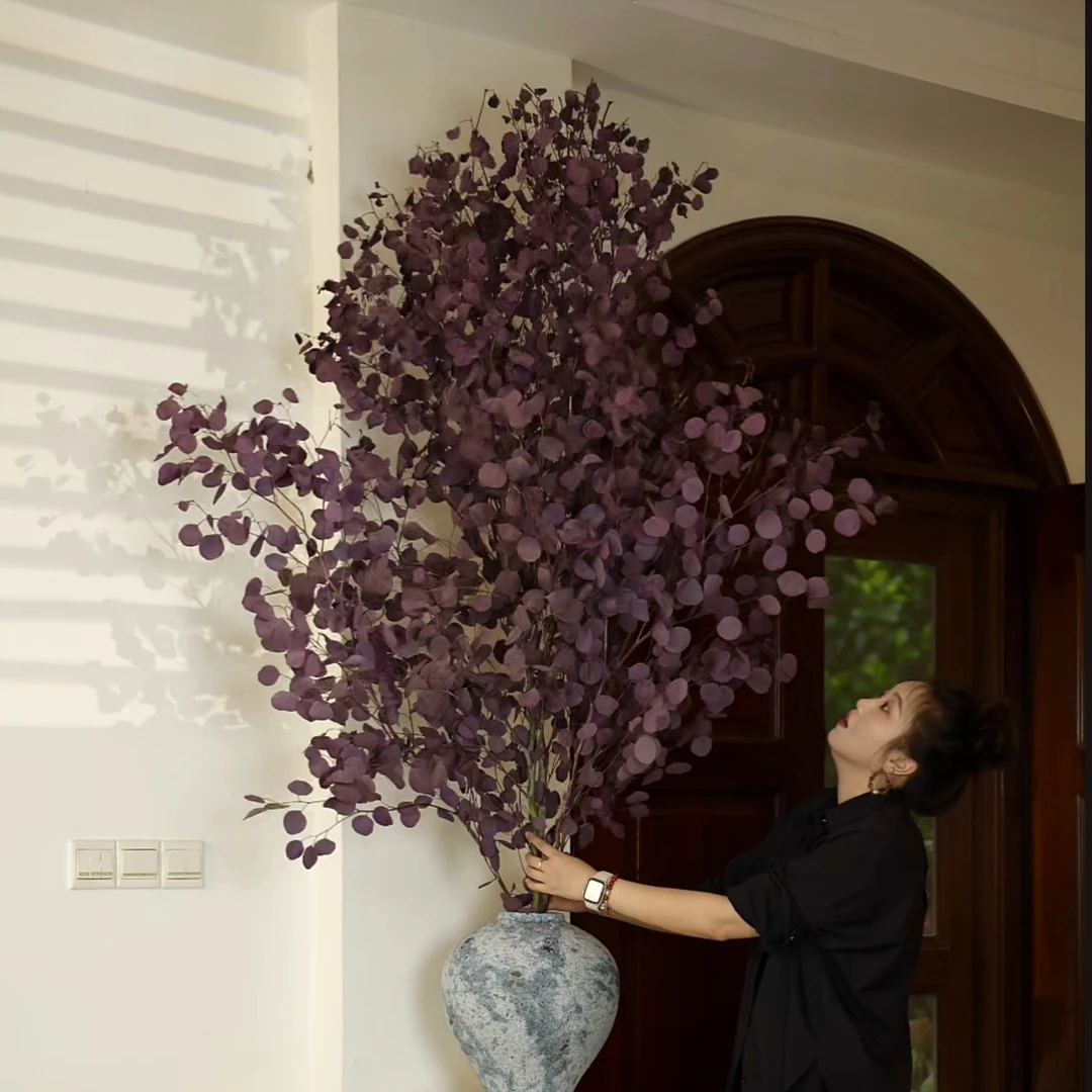 【顺丰冷链】苹果尤加利叶干花室内客厅办公室永生花材基地直发