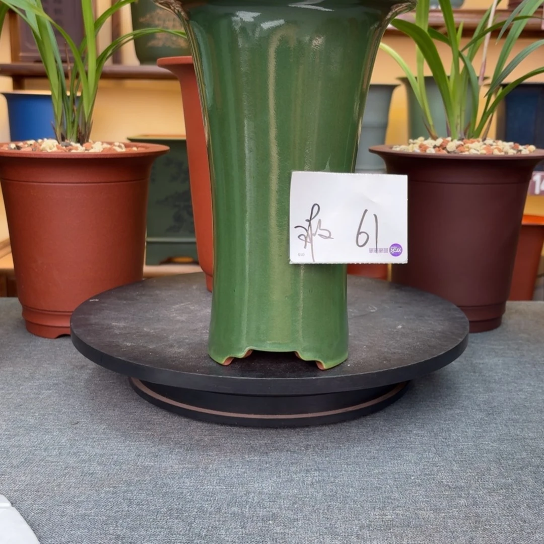 紫砂花盆兰花455585668855