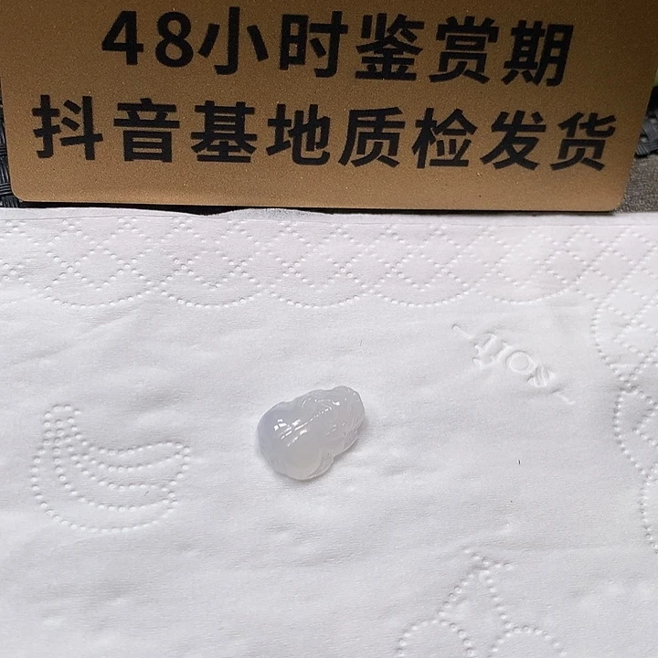 颈饰未镶嵌翡翠貔貅