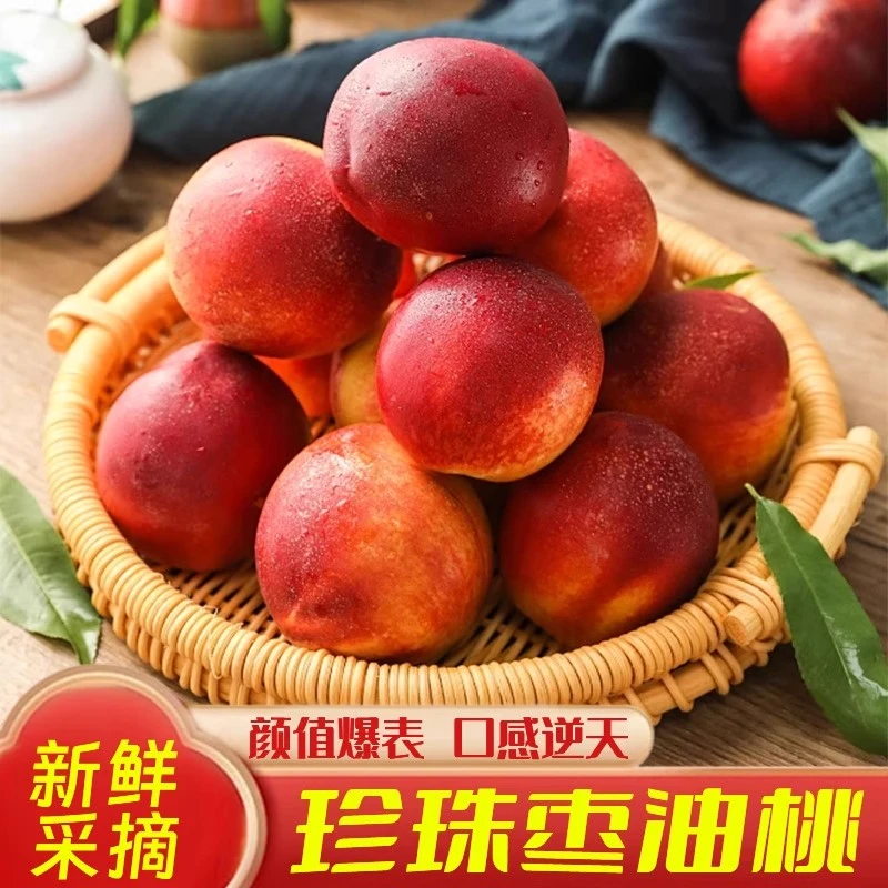 （顺丰包邮）山东珍珠枣油桃脆甜枣味小桃子5斤蜜桃孕妇水果