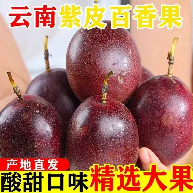 云南高山百香果整箱当季新鲜水果紫皮百香果酱现摘