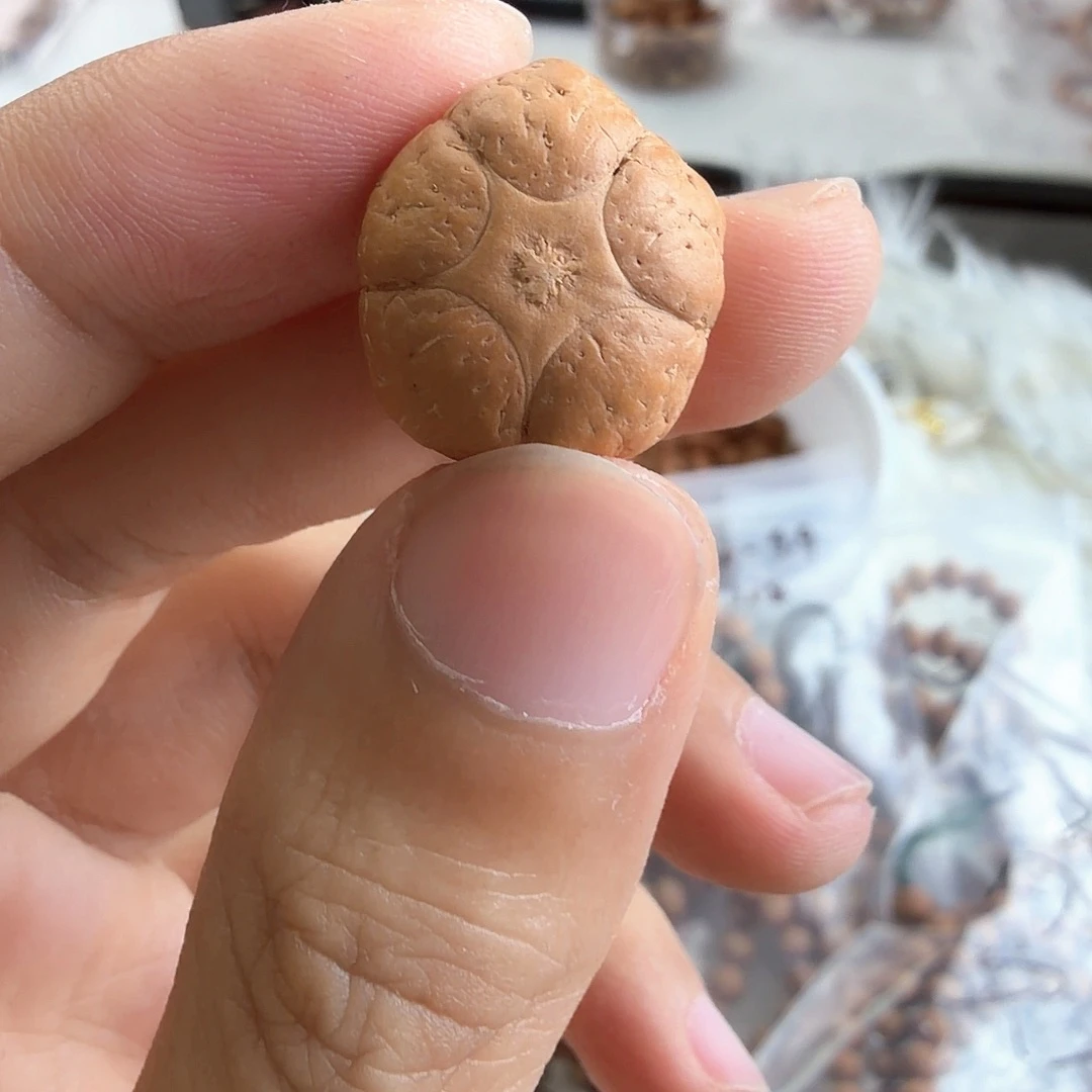 ⁻***e吊坠凤眼菩提4592