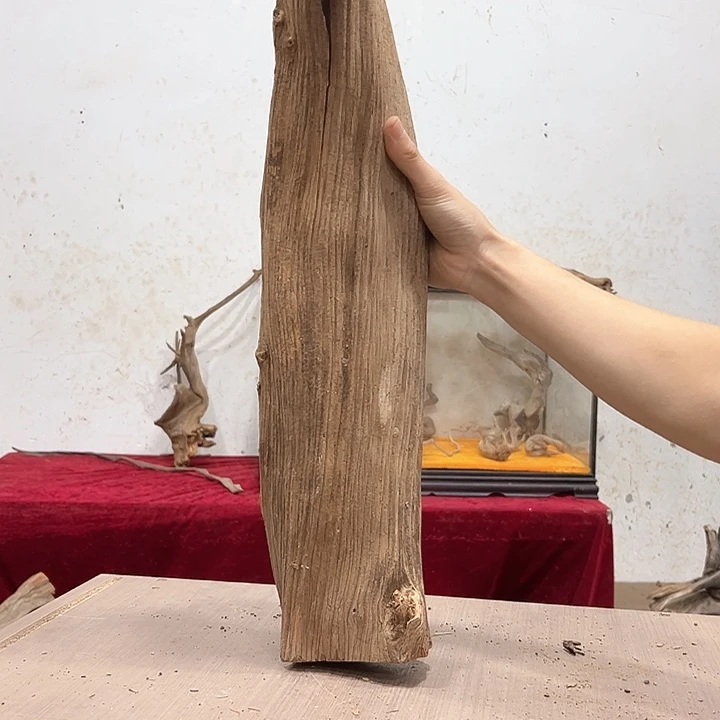 柏木?***秋我们都是好孩子呀我也是