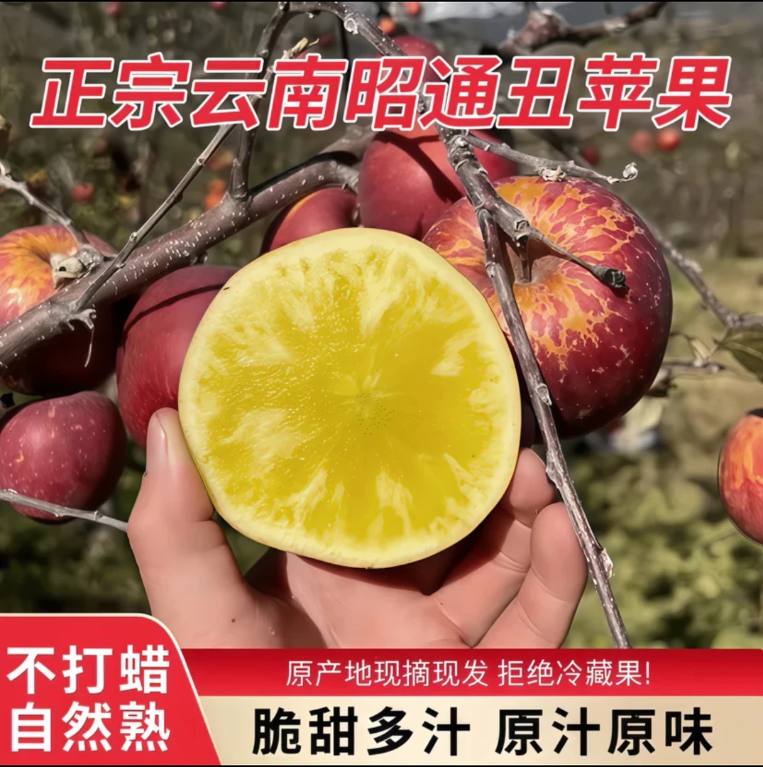 云南昭通冰糖心丑苹果现摘脆甜当季新鲜水果苹果3/5/9斤装