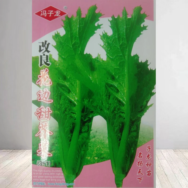 【满5包邮】甜芥菜种子四季高产花边芥菜阳台蔬菜种子花边青菜