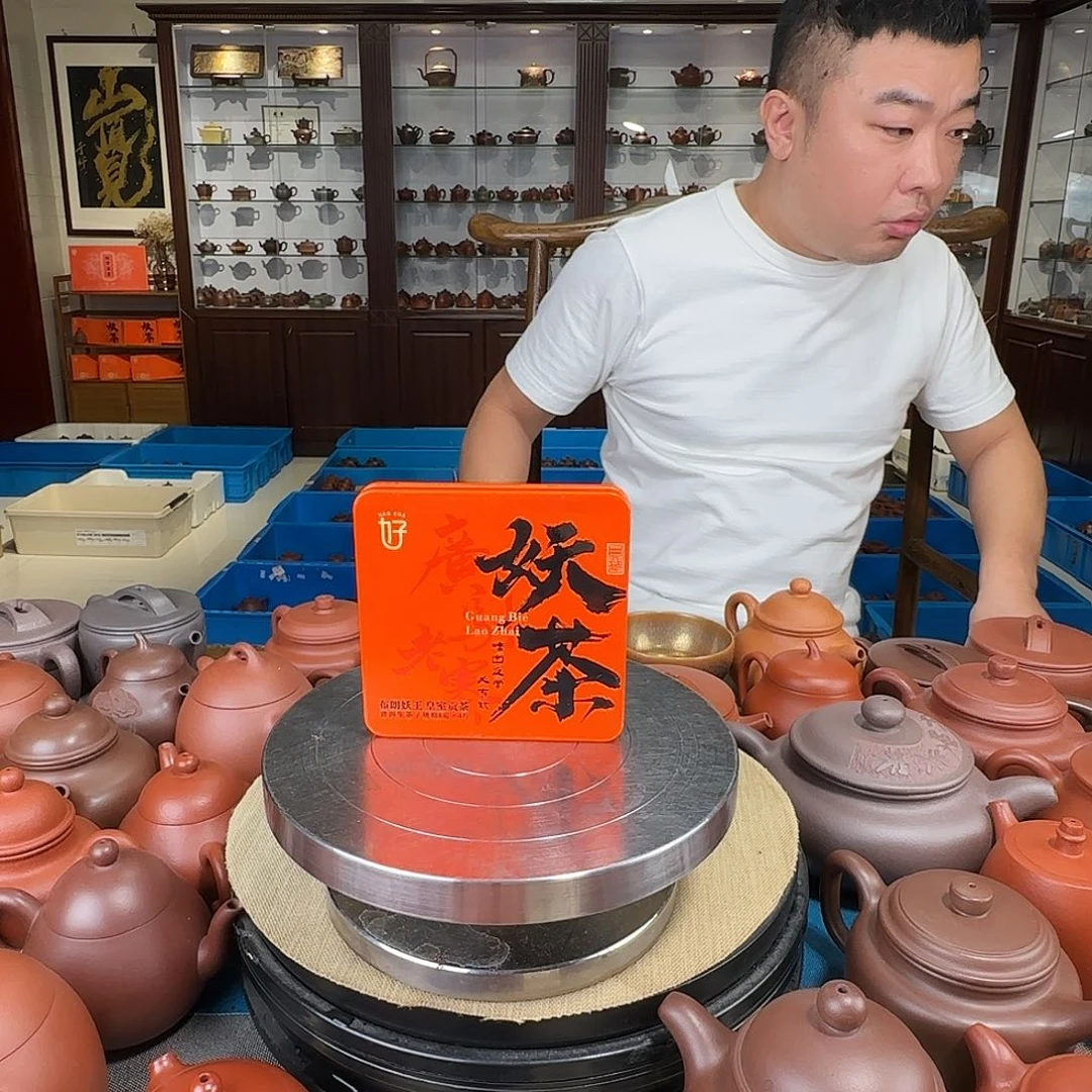 茶壶紫砂妖茶品鉴装