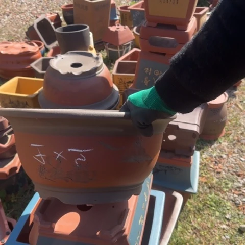 紫砂花盆紫砂花盆盆景盆栽