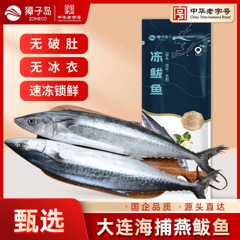 【獐子岛精选鲅鱼冷冻】净重3斤深海鲅鱼大连单冻包邮发货