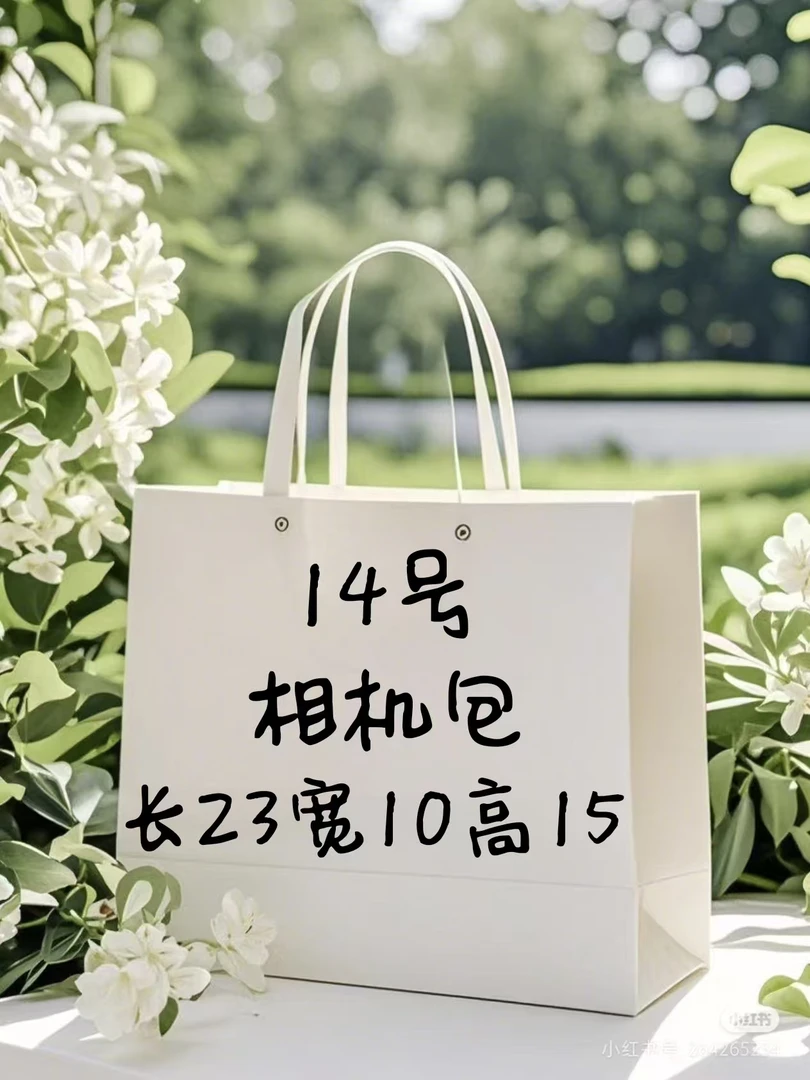 （14号）轻奢短款时尚百搭女士经典手提相机包A2771-17