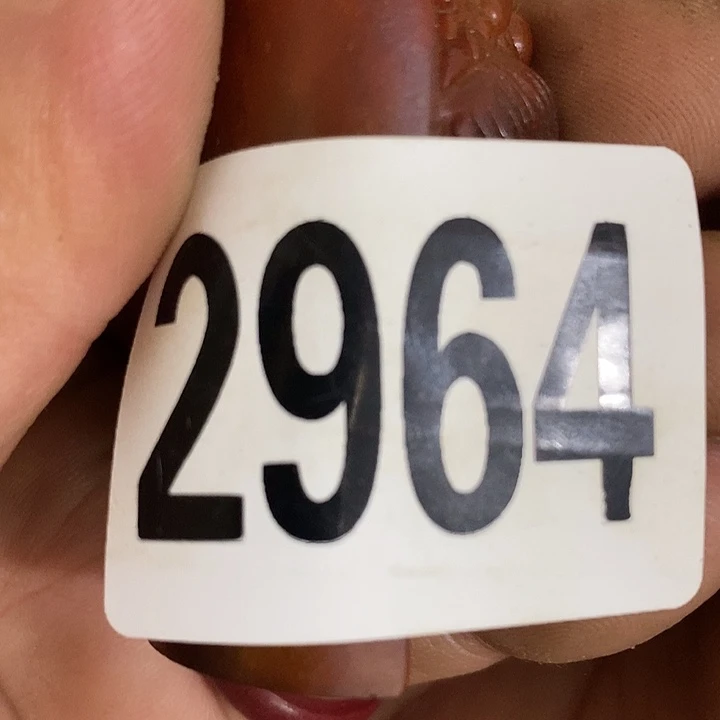 落****念普光县志等地的历史2964