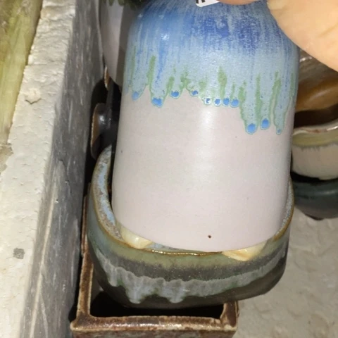 罐8570 微瑕38包邮景德镇陶瓷