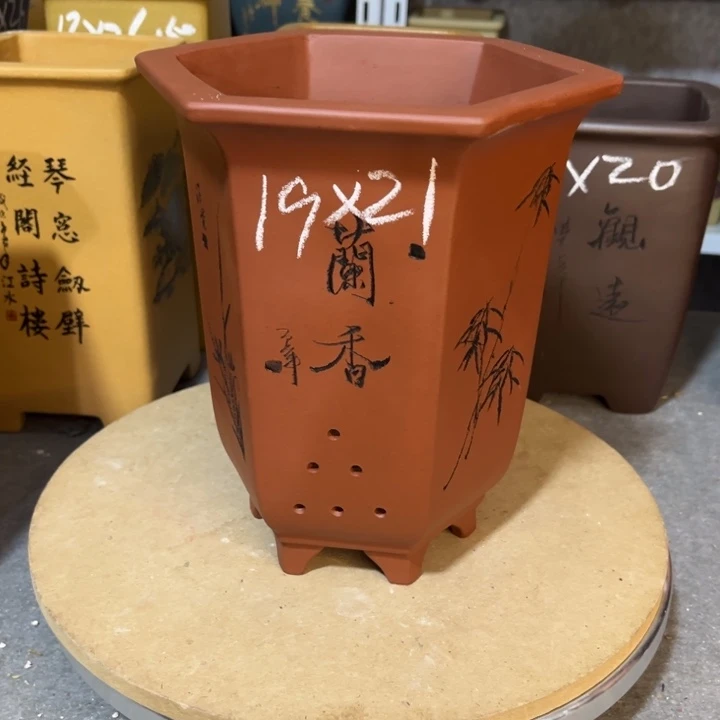 紫砂花盆紫砂花拍