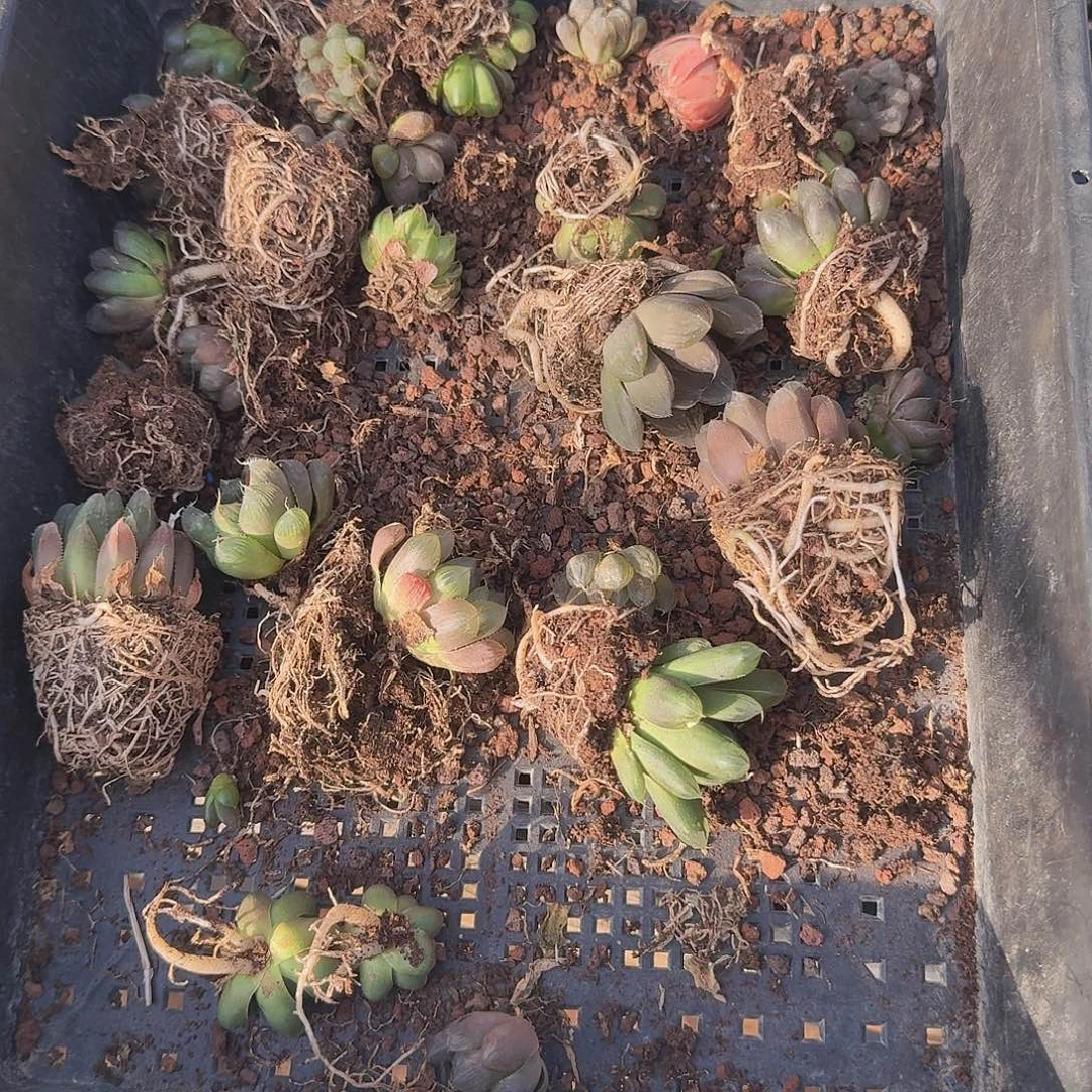 瑕疵不售后福利07