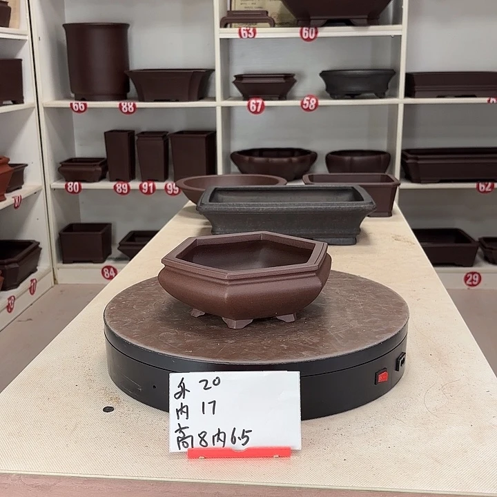 花盆紫砂浅六方小盆
