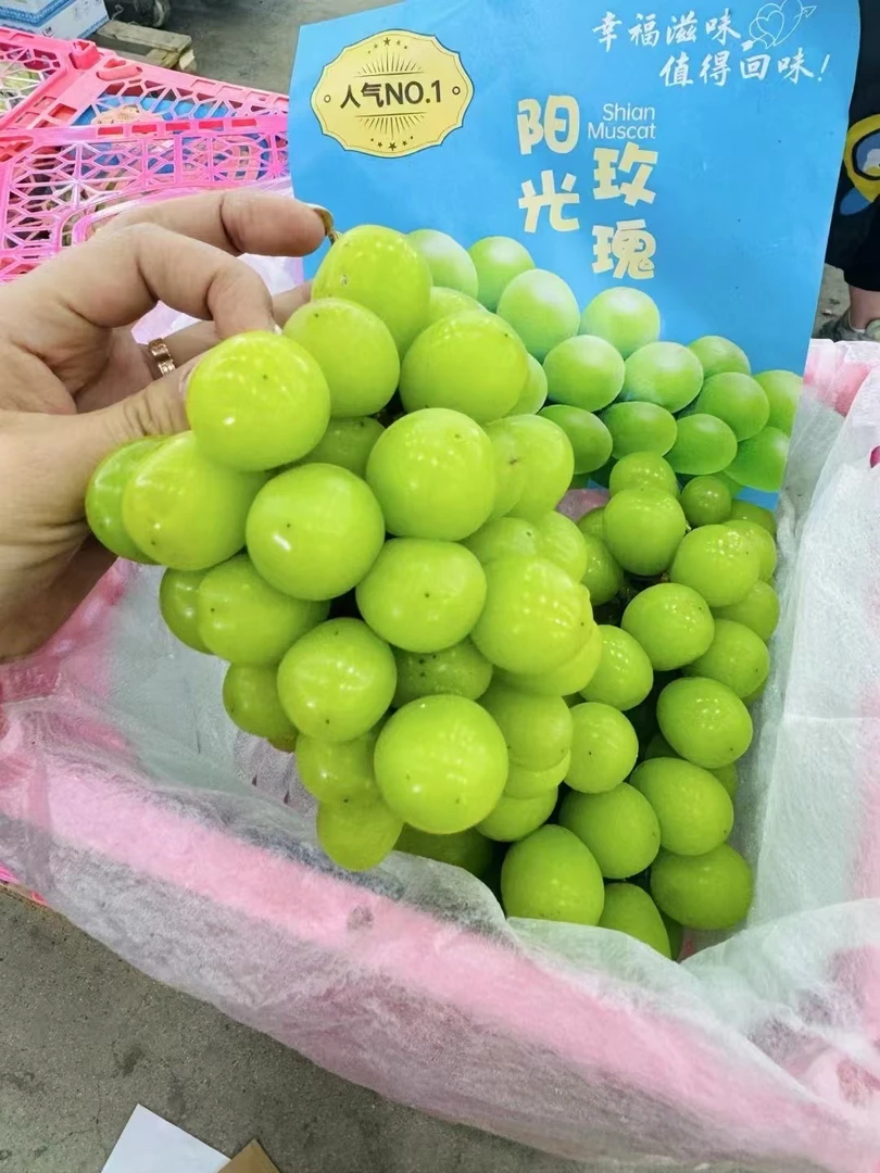 小粉框晴王葡萄2斤