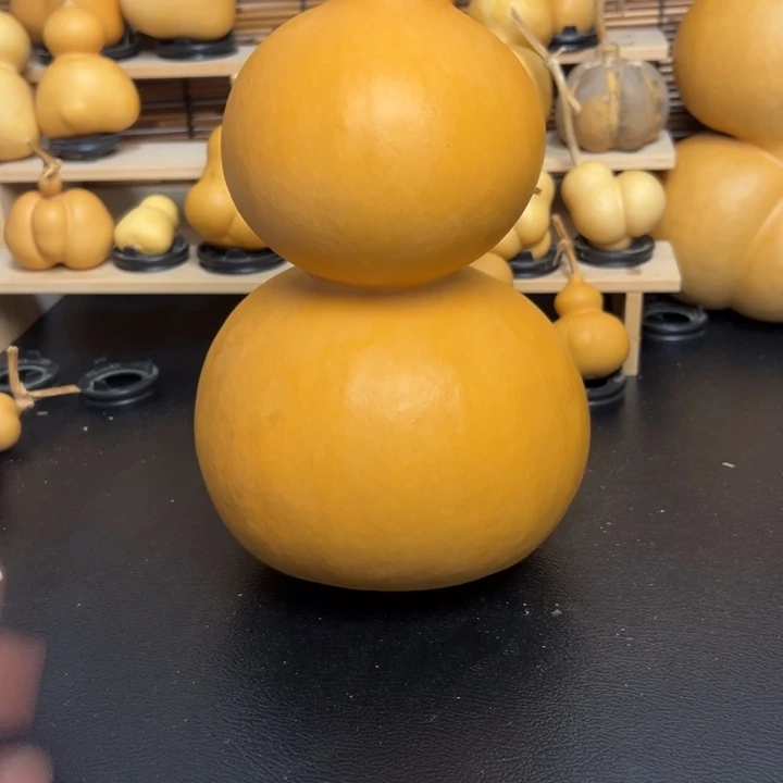 溯*12566666666369536999