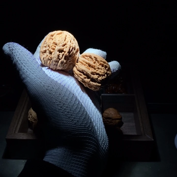 平***司核桃等经济林果地