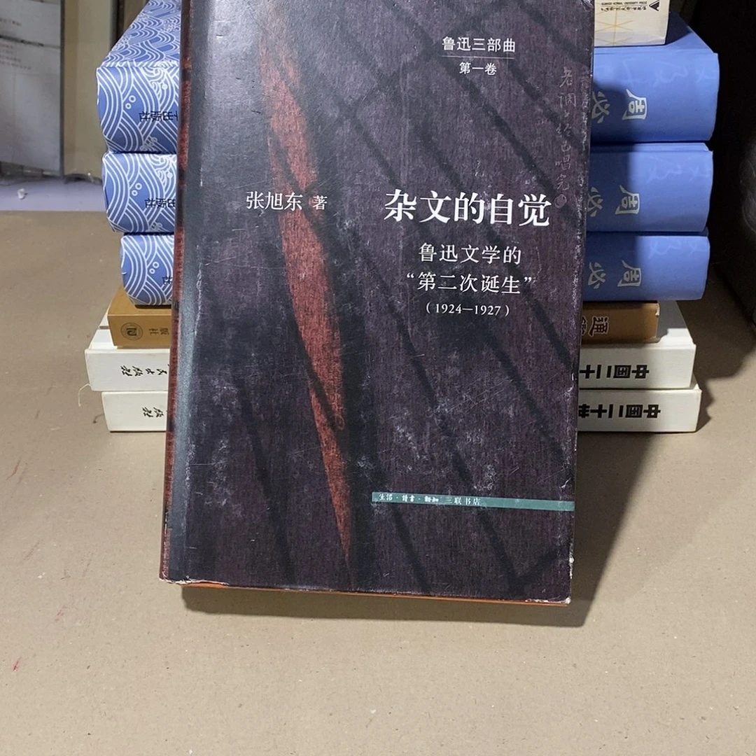 瑕疵 杂文的自觉……