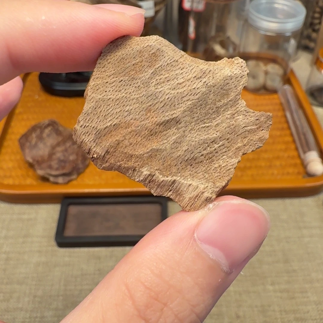 沉香海南熟结壳子